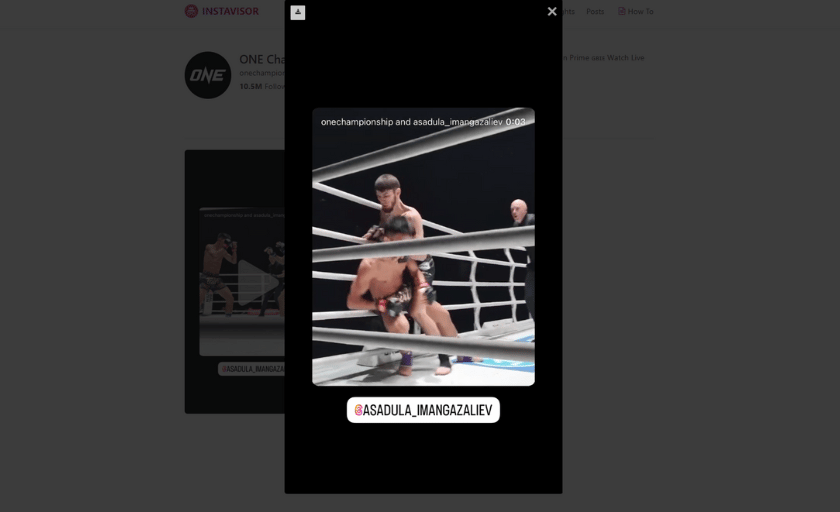 Instagram Storyviewer: Anonym Stories anschauen & Inhalte herunterladen | Die besten Tools 2024